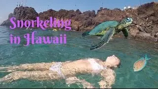 Swimming With Turtles in Hawaii! | Christina Crockett