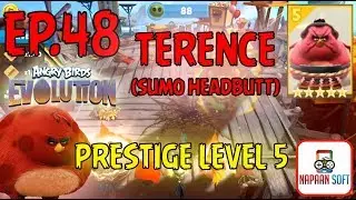 ANGRY BIRDS EVOLUTION - TERENCE(SUMO HEADBUTT) - EAGLE MOUNTAIN - MAJOR PECKER'S DAILY CHALLENGE