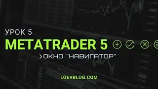 #5 MetaTrader 5 обучение. Навигатор