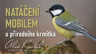 S mobilem u přírodního krmítka