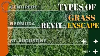 Types of Grass in Enscape - Revit to Enscape workflow