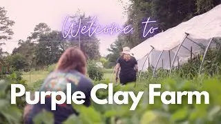 Young Couple Builds SUSTAINABLE Farm from SCRATCH | Purple Clay Farm