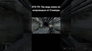 От Сталкера не испугаешься #shorts #shortvideo #сталкер #тч #нииагропром #страшилки #soc
