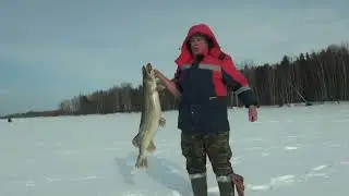 Щука на 11 кг 24 02 2023    Жерлица, карась, 4 метра.