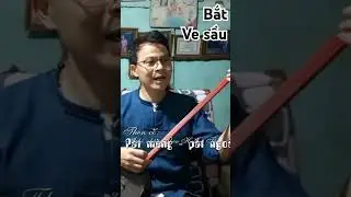 Then Hoàng bắt ve sầu !