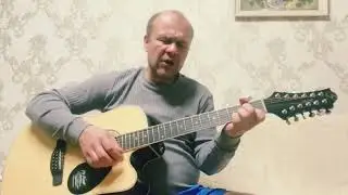 Лягушка (Шел парнишка по опушке) - Андреич на 12 струнной гитаре