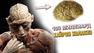 1:20