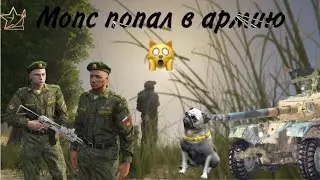 Чтоооо Мопс попал в Армию РМРП 🙀#gta #rmrp #gta5 #gta5mrp #рмрп