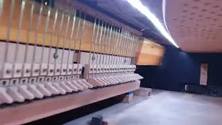 Inside of my LED Junkyard piano - The best 20 bucks I have spent on a complete useless thing 