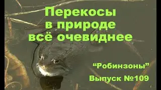 С роду такого не видел ... 