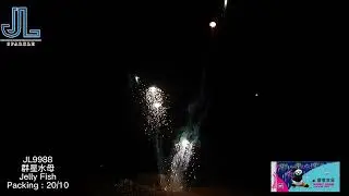 群星水母 | Jelly Fish