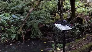 ELEKTRON Model:Cycles 68