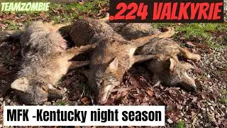 .224 Valkyrie MFK/coyote hunt in Kentucky's foggy opener night season