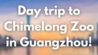 Day Trip To Chimelong Zoo In Guangzhou, China!