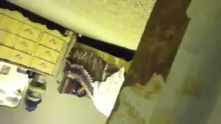 Spying on girls