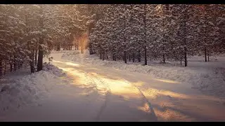 this is what winter feels like - jvke (ROBLOX Piano)