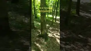 Я и в правду заблудился