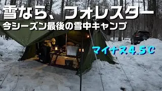 雪なら、フォレスター〔一色の森キャンプ場〕ソロキャン【SUBARU FORESTER】