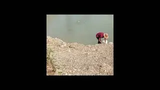 ស្ទូចត្រីស្រះ  #PondFishing 3