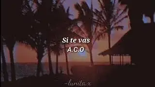 Si te vas - A.C.O (letra)