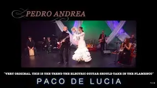 Pedro Andrea - Electric Guitar Flamenco Project