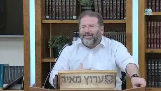 עקרות וכאב בלתי נמנעים   הפטרת פרשת נח