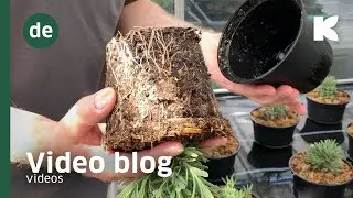 GreenFibre Wasserführung und Abtrocknung DE