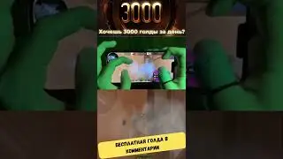 Стендофф 2 Голда в коменте