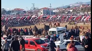 Muğla-Yatağan Deve Güreşi Genel Görünüm 16.01.2022