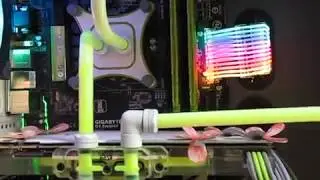 LIAN LI Strimer review