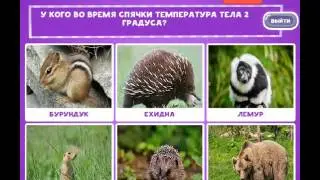 ОТВЕТЫ игра "В мире животных-2" 31, 32, 33, 34, 35, 36, 37, 38, 39, 40 уровень. одноклассники.