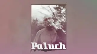 Paluch - Type beat 