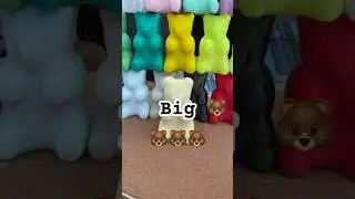 Top of top 🐻 bears
