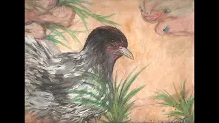 Fuzzy Art slideshow 1 ¯\_(ツ)_/¯