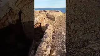 5 ноября 2023 г.