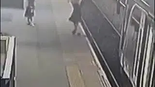 Fails 2017   Bird vs Man Instant Karma!!