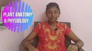 Anatomy of plant & physiology | Stomata  process | In Tamil