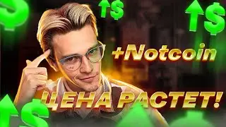 Неожиданный ПОВОРОТ от Notcoin: биржа от Ноткоин, почему тишина на Ноткойн и сколько стоит Ноткоин