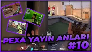 ASİL CLASSIC GÜCÜ ADINA | PEXA YAYIN ANLARI #10