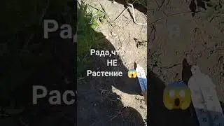 Погода на юге.Пекло.☀️ 