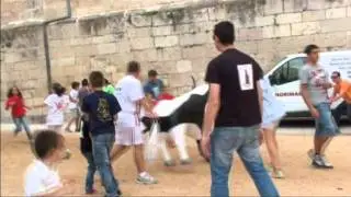 San Mateo 2011. Cuenca. Encierro infantil.