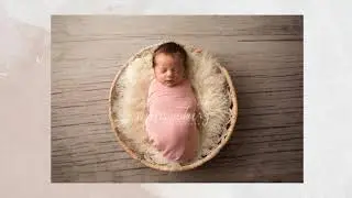 Raleigh Newborn Photographer - Brenleigh