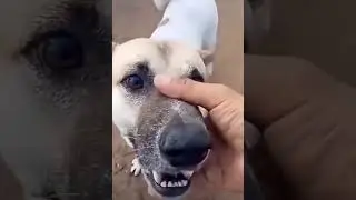 Вот почему мужики меньше живут!