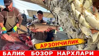 БАЛИК  БОЗОР  НАРХЛАРИ   АРЗОНЧИЛИК  ХАЗОРАСП  БОЗОРИ  ! 15-ОКТАБРЬ