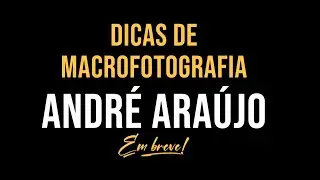 Quer aprender macrofotografia? Então vem junto!