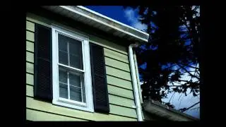 Memories of Skip - still motion