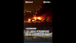MANTAN PILOT SEBUT ADA KEJAIBAN DI KECELAKAAN PESAWAT JAPAN AIRLINES