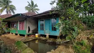Asli Otak So Fresh Seeing a Village Like This