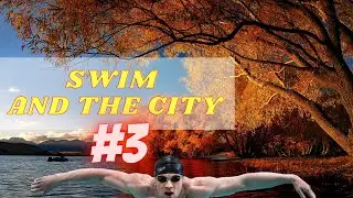 SWIM AND THE CITY #3 | Private lessons. Closing open water season. Fall In Central Park.