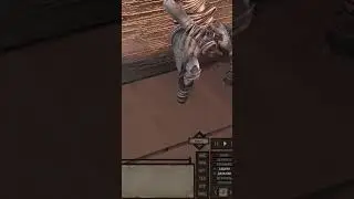 челу не дают почиллить в туалете в Kenshi 